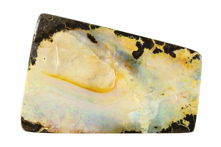 Mesmerizing Boulder Opal Specimen - Queensland, Australia #381775